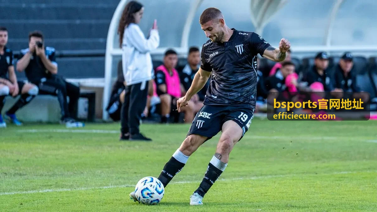 bsports官网地址帮助与指南页面封面