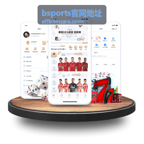 bsports官网地址功能结构示意图