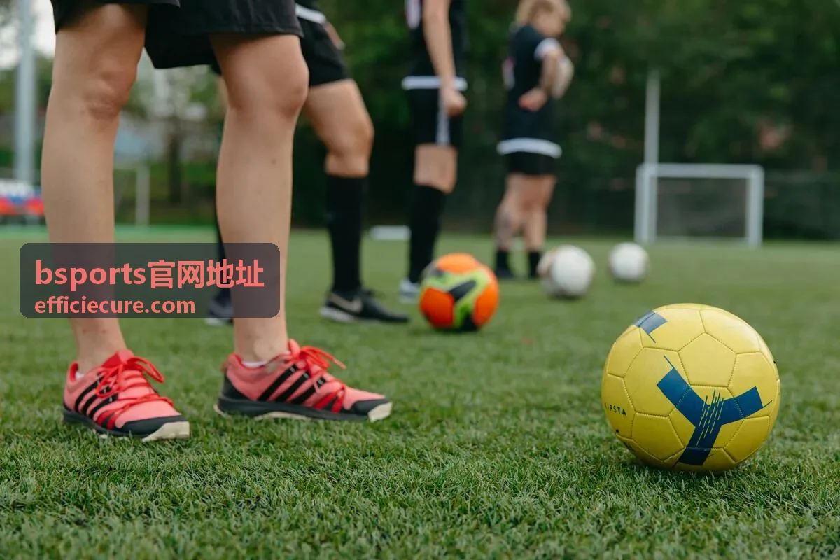 bsports官网地址会员内容：栏目长期动态记录封面